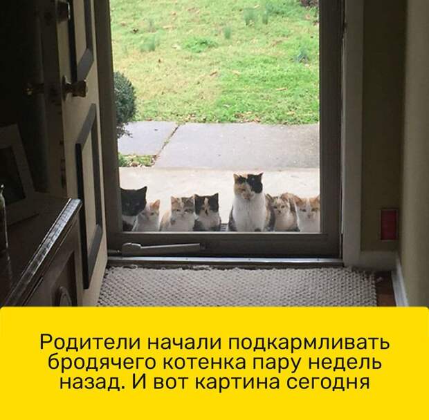 Подборка легкого юмора для заряда позитивом