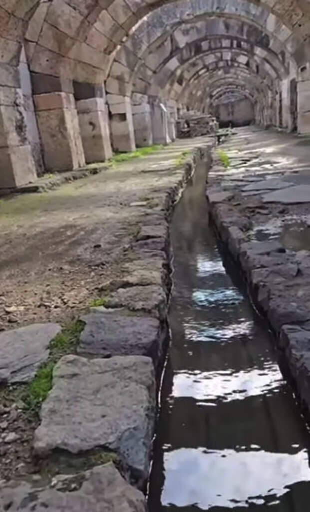 Фото: Wikipedia/Общественное достояние