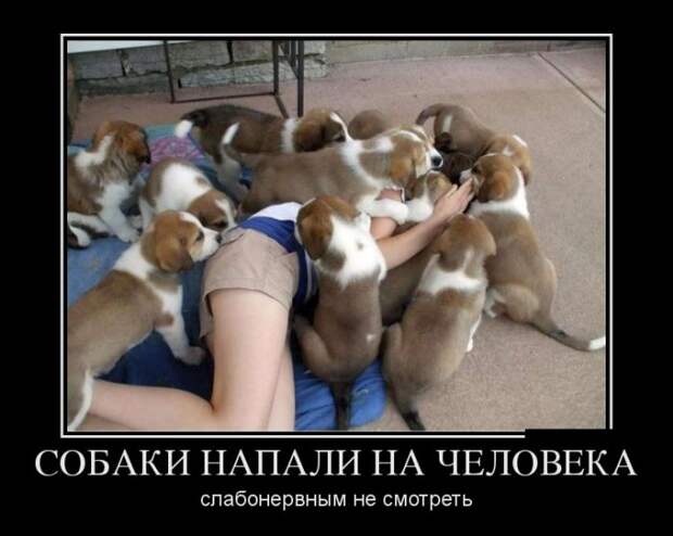Демотиваторы (30 фото)