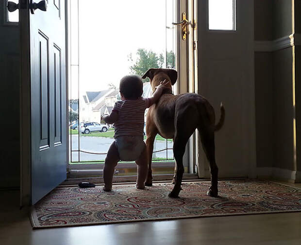 These New Best Buds Enjoy People Watching