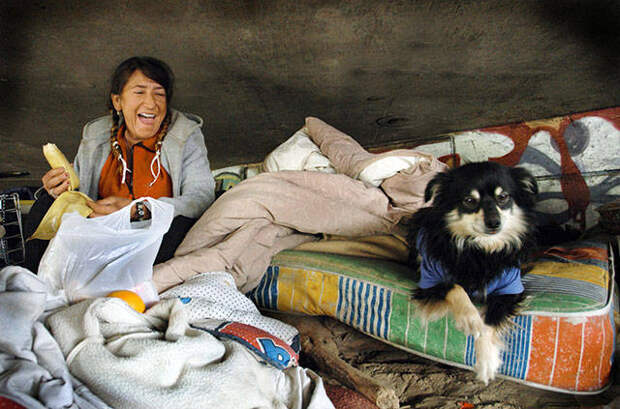 dogs_dont_care_about_money_all_they_need_is_love_640_21