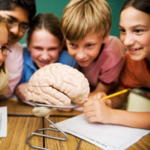 ЙОД: элемент интеллекта