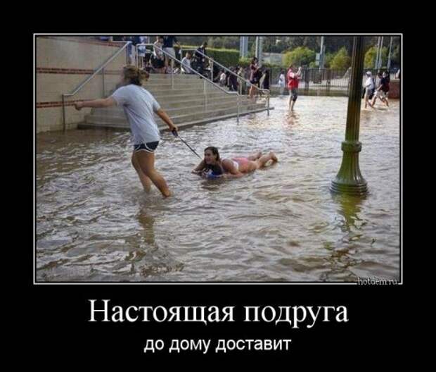 Демотиваторы-приколы для всех (14 шт)