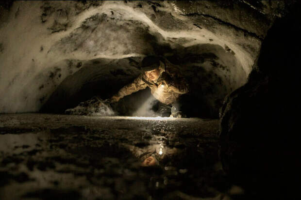 Вим Вендерс взял на себя ответственность за Берлинале: кино против политики