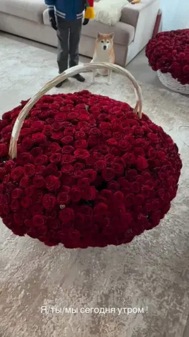 Фото Анны Седоковой