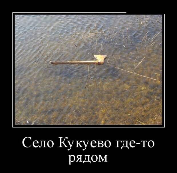 Демотиваторы