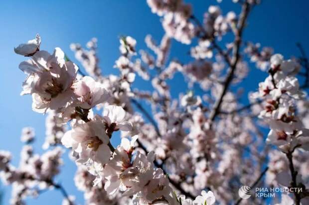 Прогноз погоды в Крыму на вторник