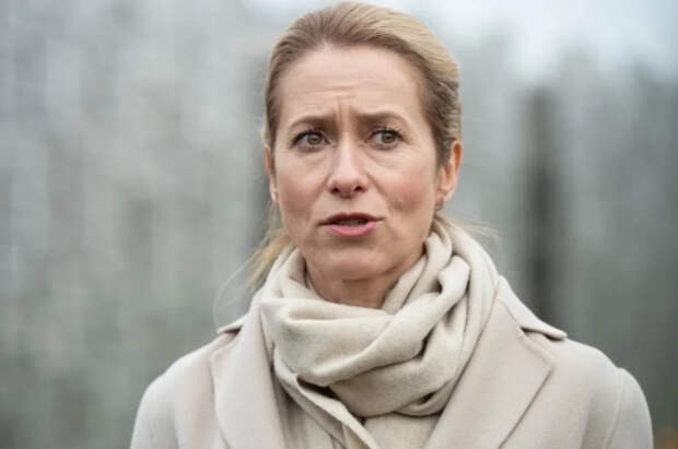 Скоморох в ЕС: Иран готовит жесткий ответ Каллас за слова об Ормузе