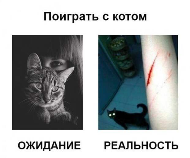 Ожидания и реальность
