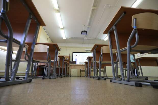 В Минобре Красноярска поддержали учителя, вызвавшего родителей в школу из-за ученика-социалиста