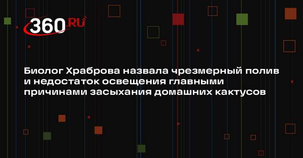Биолог Храброва назвала чрезмерный полив и недостаток освещения главными причинами засыхания домашних кактусов