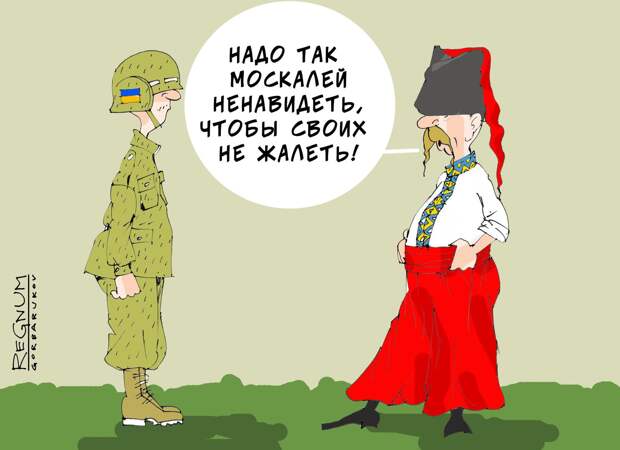 «Украинская мечта – это когда нет в мире России»