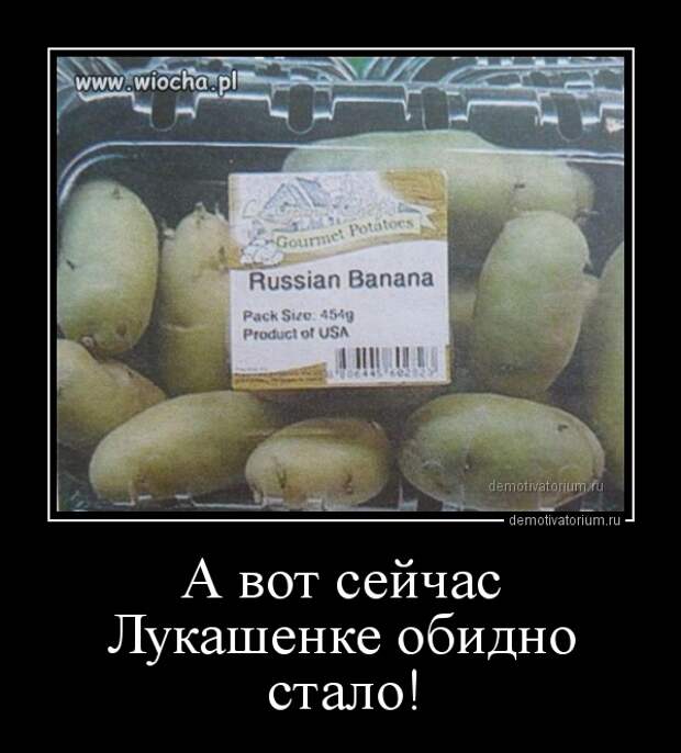 0_e623d_e6e7bdce_orig.jpg