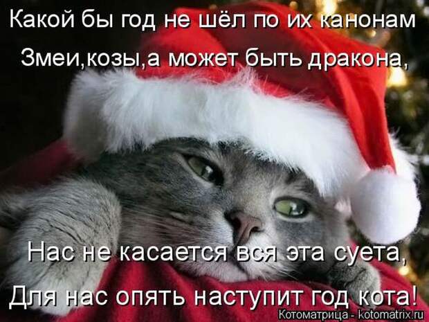 Лучшие котоматрицы недели (50 фото) Лучшие котоматрицы недели (50 фото)