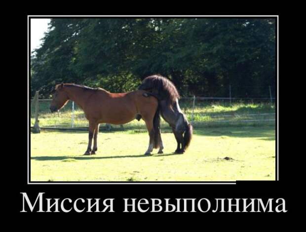 Демотиваторы (30 фото)