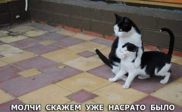 Всяко разно.