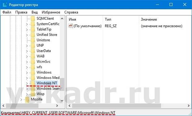 Раздел реестра HKEY_CURRENT_USER - Software - Microsoft - Windows NT
