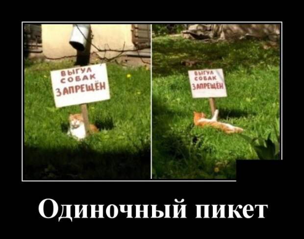 Демотиваторы (20 фото)