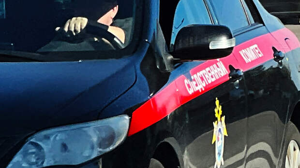 СК: версия о побеге пропавшей семьи Усольцевых не нашла своего подтверждения