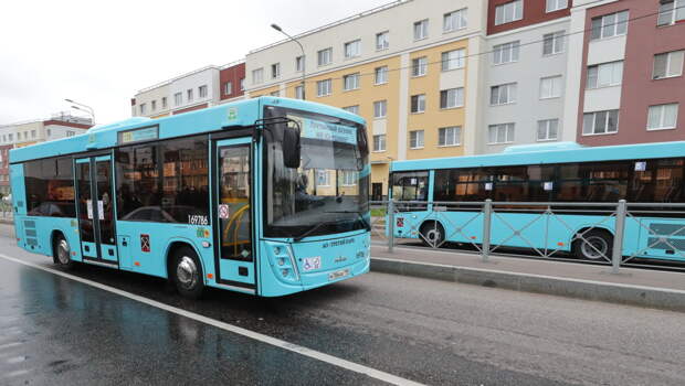 В Петербурге на дежурство выходят резервные автобусы из-за взрыва в центре города