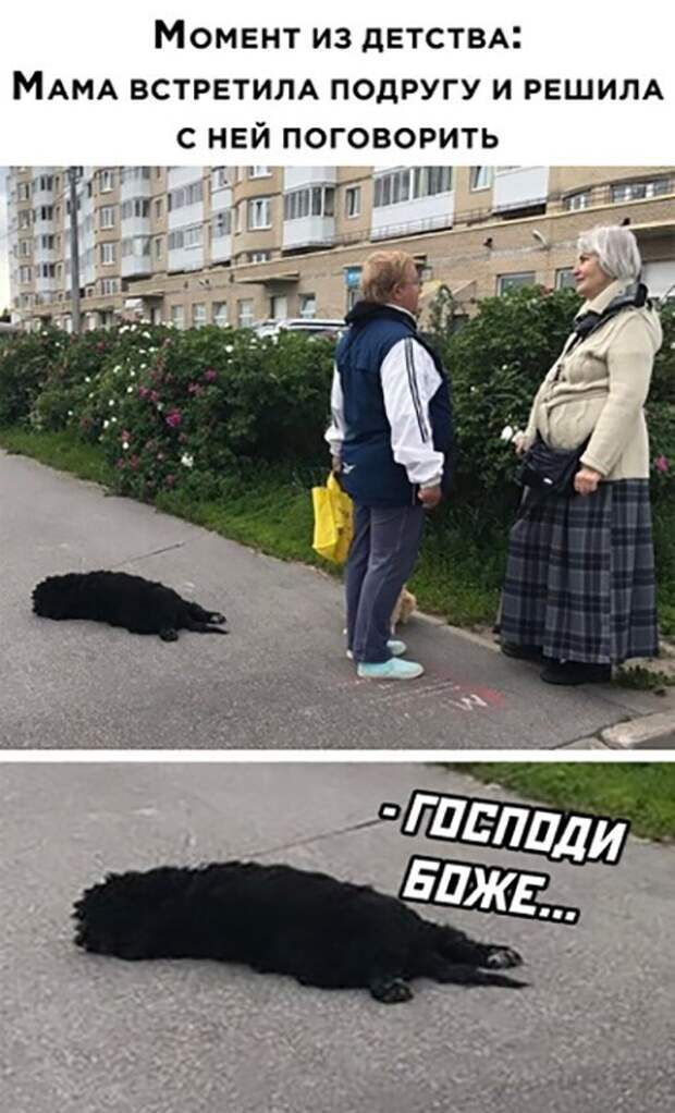 Момент
