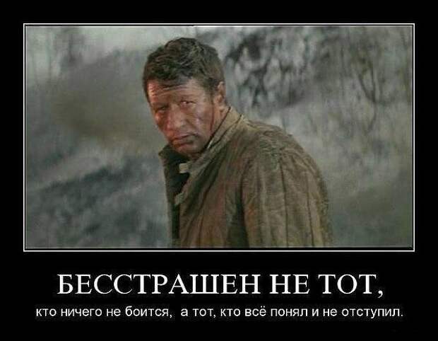 Как русский мужик Бисмарка мудрости учил, или "ничего"