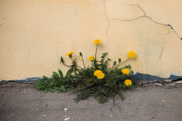 Фотолайфхак: Смыслы в контрастах