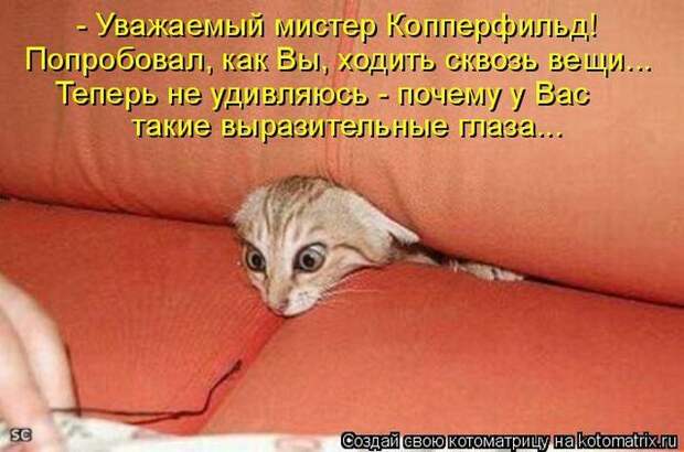 Мысли вслух :)
