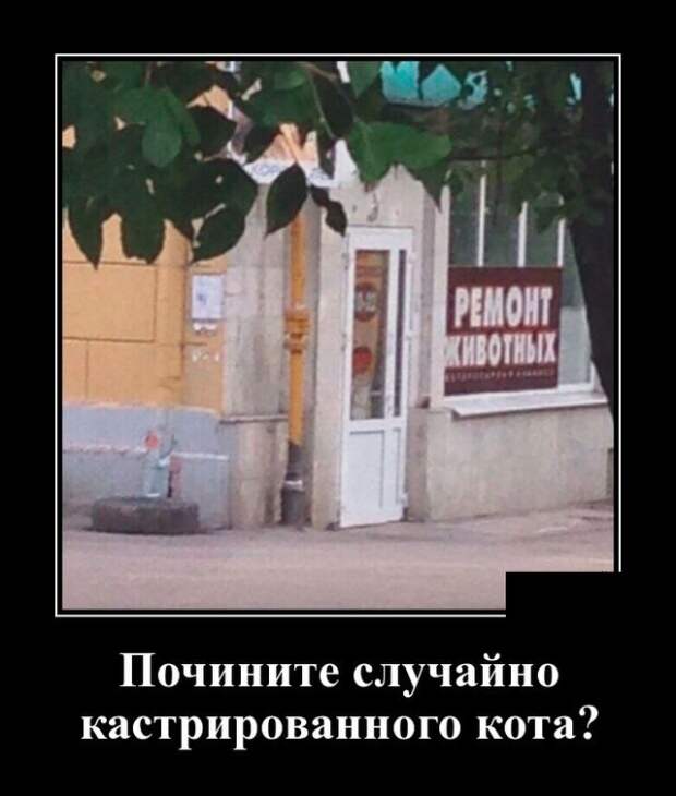 Демотиваторы (30 фото)