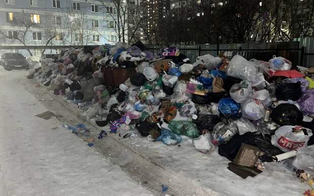 "Крысы радуются": рязанцы показали мусорный вал на Ленкома