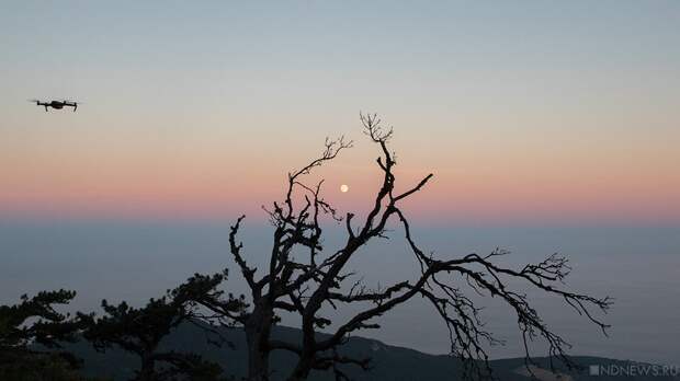 За четыре часа над югом России сбили 33 украинских дрона