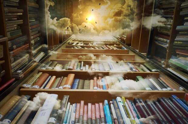 Библиотека, книги, библиоудаленка