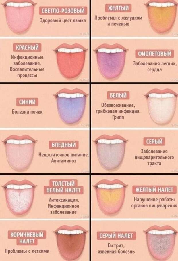 20 полезных  шпаргалок о нашем теле, здоровье, еде и хорошей жизни