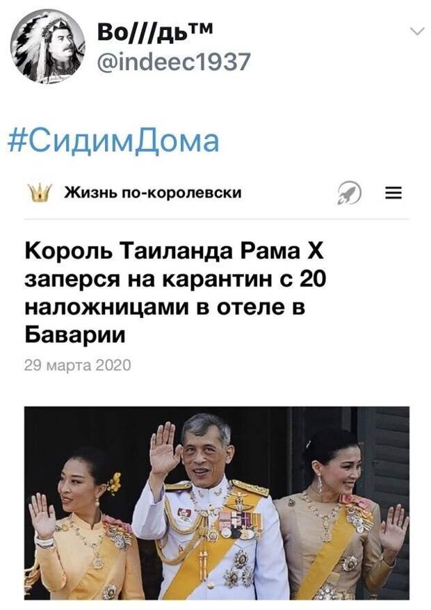 Политические картинки