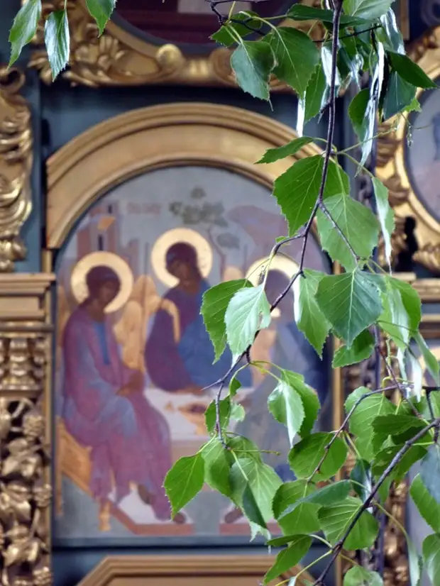 Православная троица число. Святая Троица береза. Троица береза храм. Троица икона в Березках. Ветки березы на Троицу.