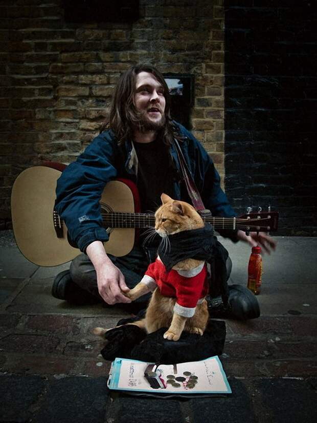 Bobthecat05 Рыжий кот Боб