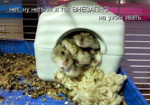 Мысли вслух :)