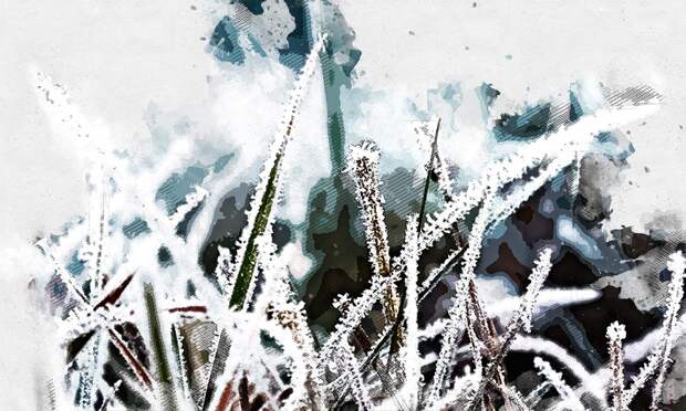 Синоптики советуют орловцам не рассчитывать на мягкий февраль