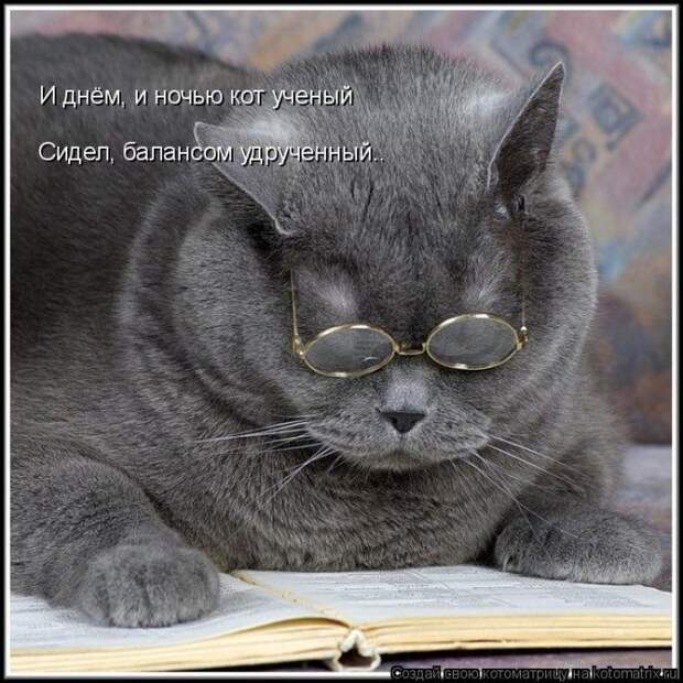 Мысли вслух :)