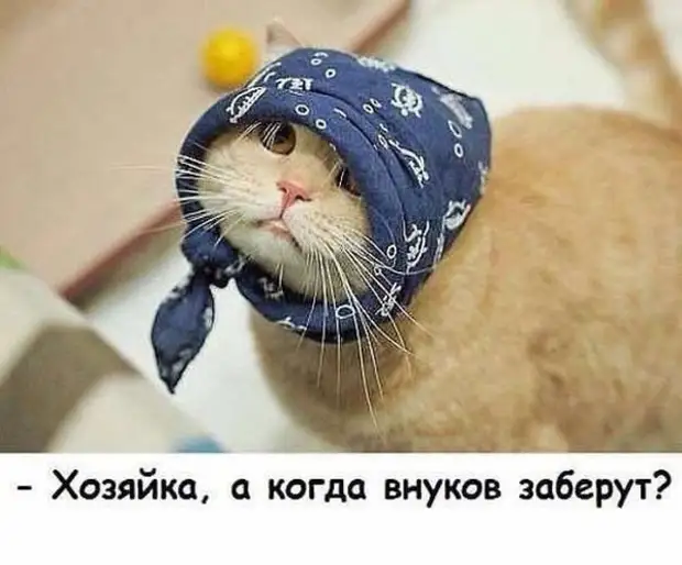 Буратино посещал папу Карло только летом. Зимой опасался - тому частенько не хватало дров... Буратино посещал папу Карло только летом. Зимой опасался - тому частенько не хватало дров... знаком, утром, субботу, сегодня, видела, Молодой, действуй, попросил, пивом, сбегать, моментом, мухой, слетала, давай, экспериментировать, стоит, пожалуй, Характерто, лёгкий, тяжёлая Суббота