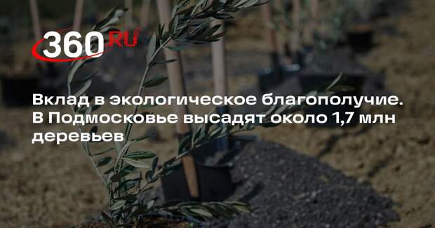 В Подмосковье планируют высадить около 1,7 млн деревьев в 2026 году