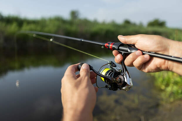 Юрист Хаминский напомнил о запрете на ловлю рыбы в период нереста