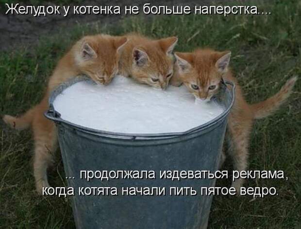 Мысли вслух :)