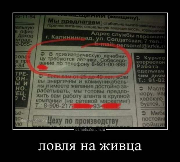 Сборник демотиваторов (17 шт)
