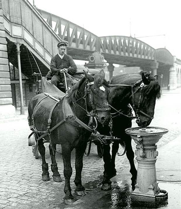 Питьевой корыто для лошадей. Париж, около 1900 года Весь Мир в объективе, ретро, старые фото