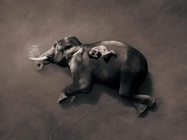 Люди и животные в фотографиях Gregory Colbert