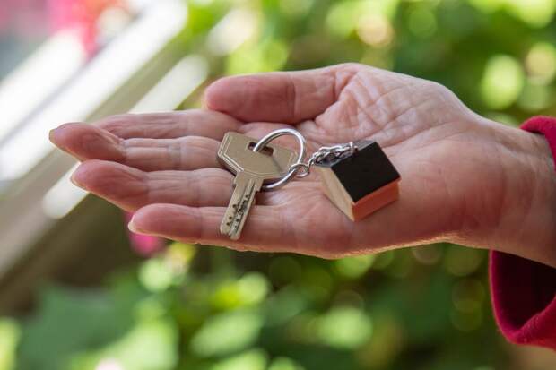 Baza: в Петербурге требует вернуть ей 4 квартиры, проданные по схеме Долиной