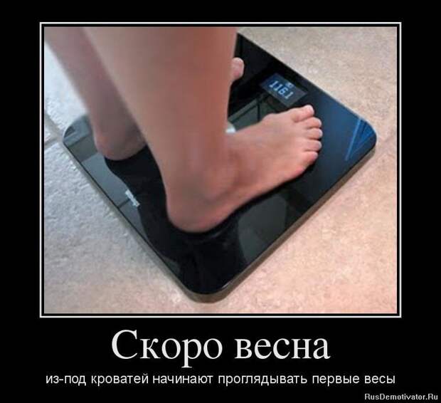 17.  весна, демотиваторы, юмор