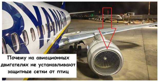 Почему на авиационных двигателях не устанавливают защитные сетки от птиц