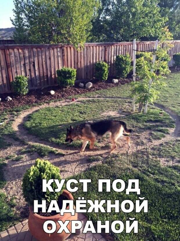 Подборка прикольных картинок